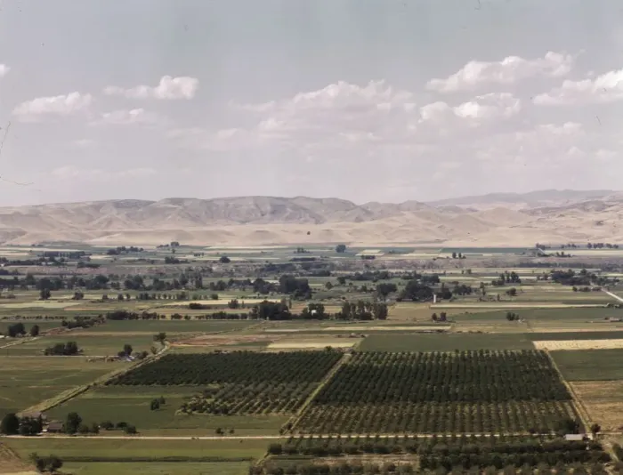 Framed Print : Cherry orchards, farm lands and irrigation ditch at Emmett, Idaho, 1941. Creator: Russell Lee Framed Print : Cherry orchards, farm lands and irrigation ditch at Emmett, Idaho, 1941. Creator: Russell Lee