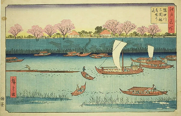 Cherry Trees along the Sumida River Embankment at the Mimeguri Inari Shrine... c. 1840 / 58. Creator: Ando Hiroshige