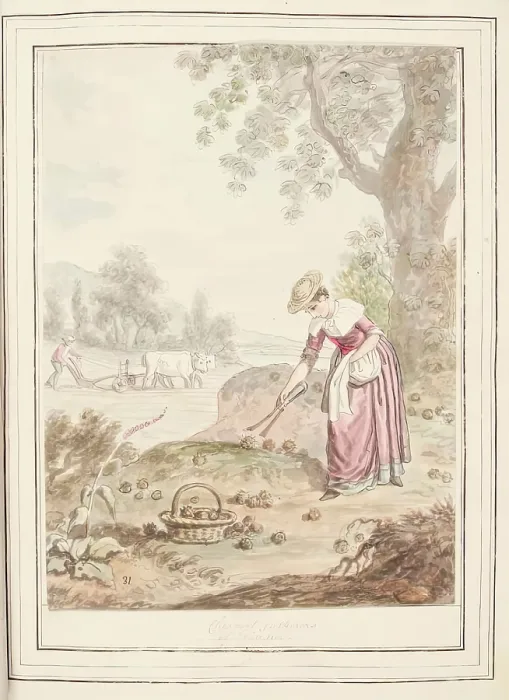 Framed Print : Chestnut Gatherers of Loiana, leaf from A Collection of Dresses by David Allan Mostly... 1776 Framed Print : Chestnut Gatherers of Loiana, leaf from A Collection of Dresses by David Allan Mostly... 1776