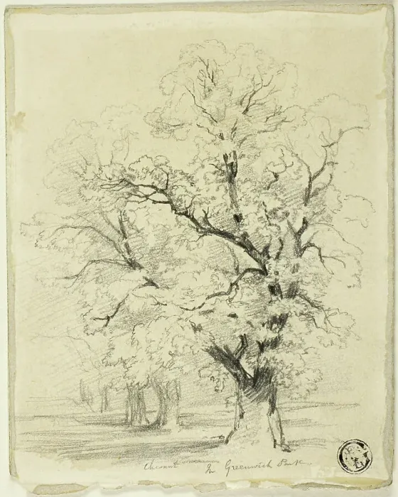 Framed Print : Ches[t]nut in Greenwich Park, n.d. Creator: Thomas Creswick