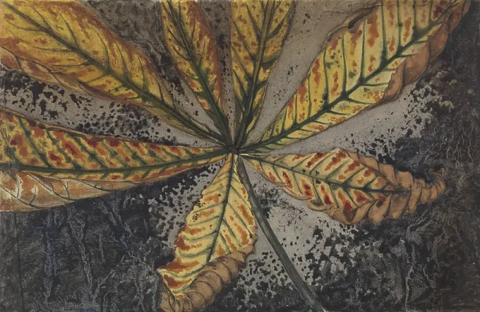 Framed Print : Chestnut leaf, 1887-1924. Creator: Julie de Graag Framed Print : Chestnut leaf, 1887-1924. Creator: Julie de Graag
