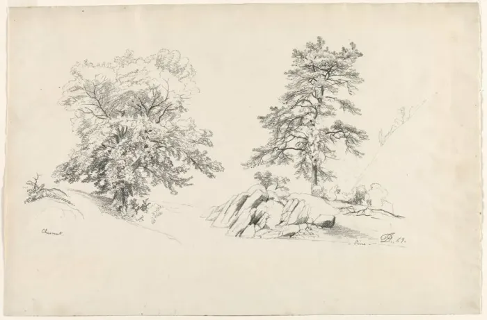 Framed Print : Chestnut and Pine, 1869. Creator: David Johnson (American, 1827-1908) Framed Print : Chestnut and Pine, 1869. Creator: David Johnson (American, 1827-1908)