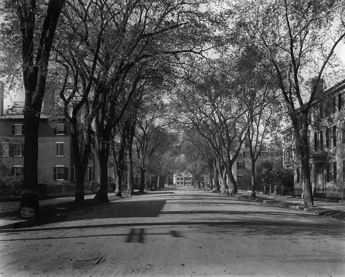 Framed Print : Chestnut St. Salem, Mass. c1906. Creator: Unknown Framed Print : Chestnut St. Salem, Mass. c1906. Creator: Unknown