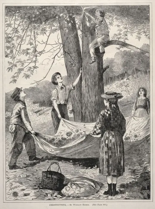 Framed Print : Chestnutting, 1870. Creator: Winslow Homer (American, 1836-1910) Framed Print : Chestnutting, 1870. Creator: Winslow Homer (American, 1836-1910)