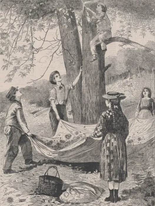 Framed Print : Chestnutting (Every Saturday, Vol. I, New Series), October 29, 1870. Creator: Unknown Framed Print : Chestnutting (Every Saturday, Vol. I, New Series), October 29, 1870. Creator: Unknown