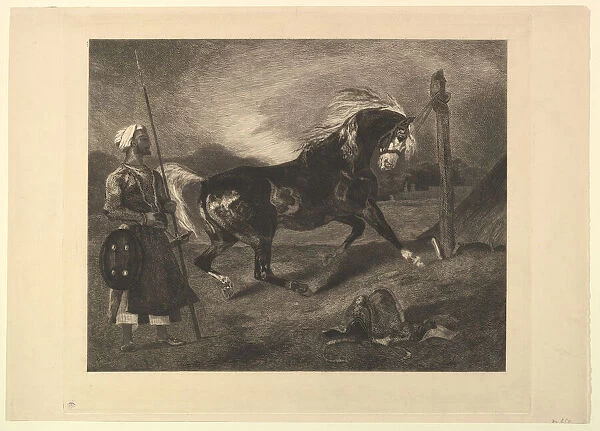 Cheval arabe au piquet, d apres Delacroix, 1857. Creator: Felix Bracquemond