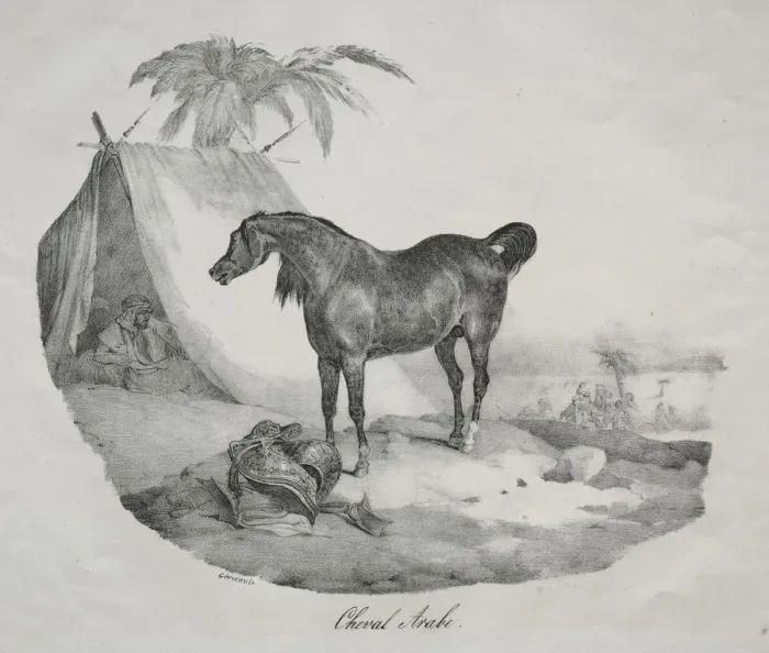 Framed Print : Cheval Arabe. Creator: Theodore Gericault (French, 1791-1824) Framed Print : Cheval Arabe. Creator: Theodore Gericault (French, 1791-1824)