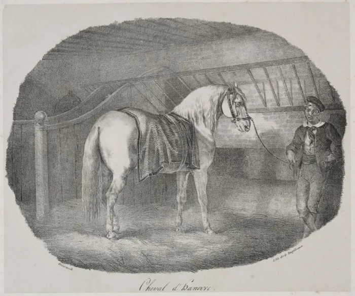 Framed Print : Cheval dHanovre. Creator: Theodore Gericault (French, 1791-1824) Framed Print : Cheval dHanovre. Creator: Theodore Gericault (French, 1791-1824)