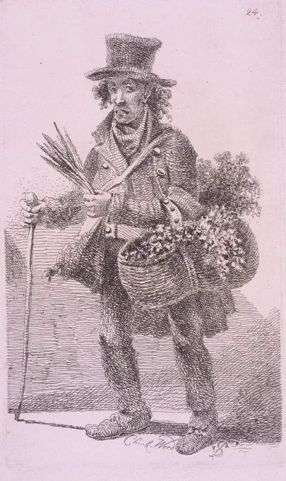 Framed Print : Chick-Weed, Cries of London, 1819 Artist: John Thomas Smith Framed Print : Chick-Weed, Cries of London, 1819 Artist: John Thomas Smith