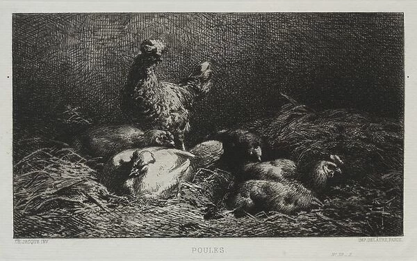 The Chickens. Creator: Charles-Emile Jacque (French, 1813-1894)