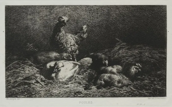 Framed Print : The Chickens. Creator: Charles-Emile Jacque (French, 1813-1894) Framed Print : The Chickens. Creator: Charles-Emile Jacque (French, 1813-1894)