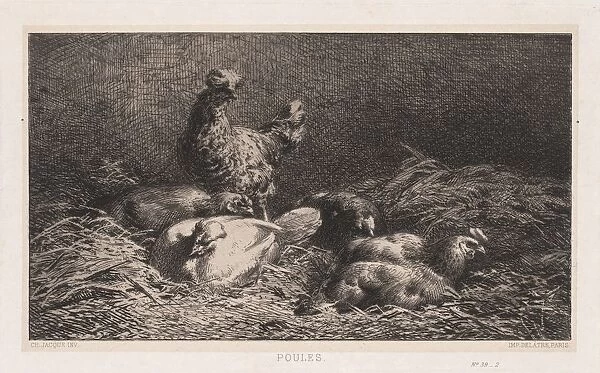 Chickens (Poutes), 1867. Creator: Charles-Emile Jacque (French, 1813-1894)