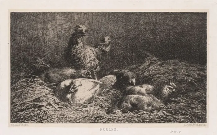 Framed Print : Chickens (Poutes), 1867. Creator: Charles-Emile Jacque (French, 1813-1894)