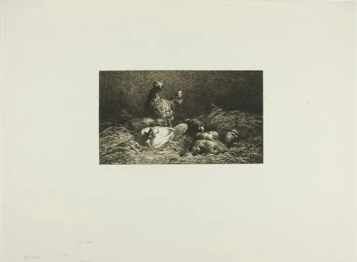 Framed Print : Chickens in Their Roost, 1864-1866. Creator: Charles Emile Jacque Framed Print : Chickens in Their Roost, 1864-1866. Creator: Charles Emile Jacque