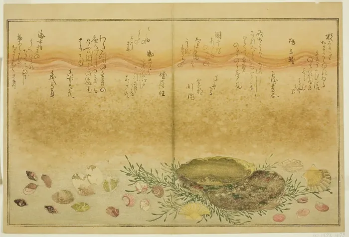 Framed Print : Chidori-gai, itaya-gai, awabi, utsuse-gai, asari-gai, and monoara-gai, from the illustrated...1789. Creator: Kitagawa Utamaro Framed Print : Chidori-gai, itaya-gai, awabi, utsuse-gai, asari-gai, and monoara-gai, from the illustrated...1789. Creator: Kitagawa Utamaro