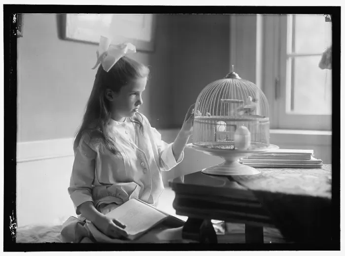 Framed Print : Child with birdcage, between 1910 and 1917. Creator: Harris & Ewing. Child with birdcage, between 1910 and 1917. Creator: Harris & Ewing Framed Print : Child with birdcage, between 1910 and 1917. Creator: Harris & Ewing. Child with birdcage, between 1910 and 1917. Creator: Harris & Ewing