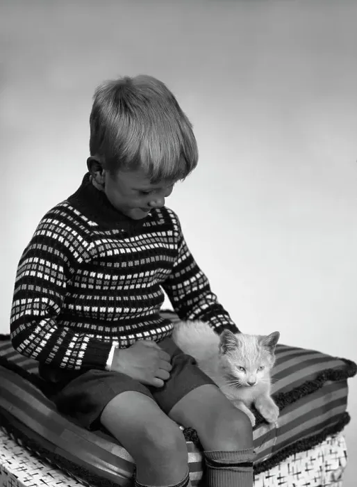 Framed Print : Child with a cat, 1963. Artist: Michael Walters Framed Print : Child with a cat, 1963. Artist: Michael Walters