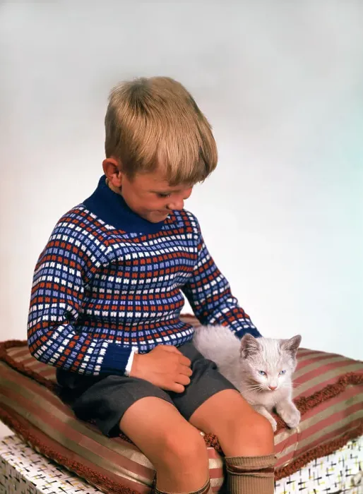 Framed Print : Child with a cat, 1963. Artist: Michael Walters