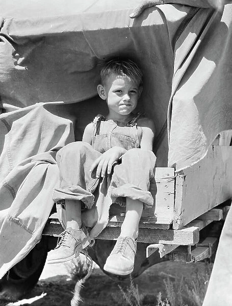 Child of an impoverished family from Iowa stranded in New Mexico, 1936. Creator: Dorothea Lange