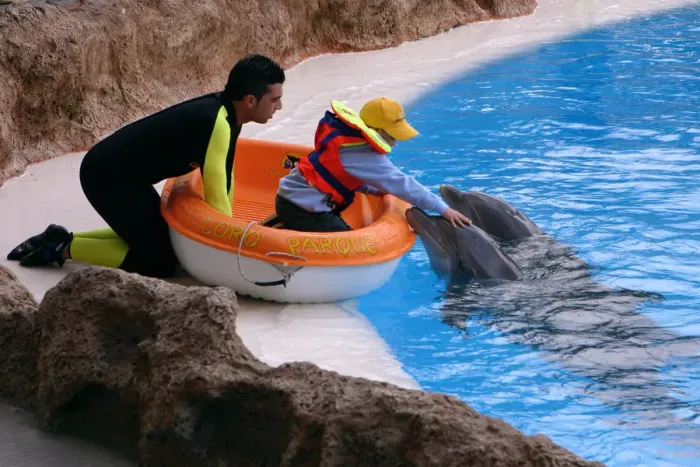 Framed Print : Child petting a dolphin, Loro Parque, Tenerife, Canary Islands, 2007 Framed Print : Child petting a dolphin, Loro Parque, Tenerife, Canary Islands, 2007