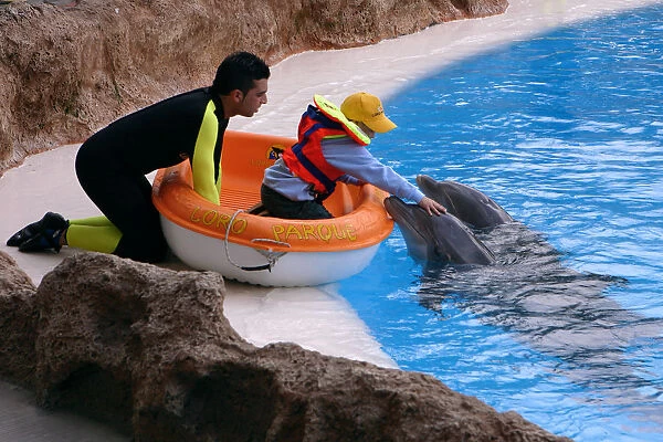 Child petting a dolphin, Loro Parque, Tenerife, Canary Islands, 2007