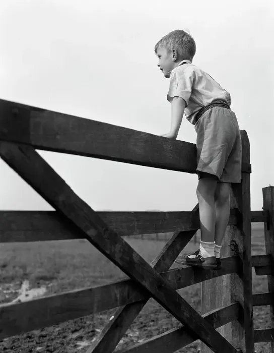Framed Print : Child standing on a gate, 1963. Artist: Michael Walters Framed Print : Child standing on a gate, 1963. Artist: Michael Walters