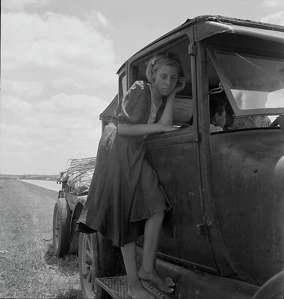 Child of Texas migrant family who follow the cotton crop, 1937. Creator: Dorothea Lange