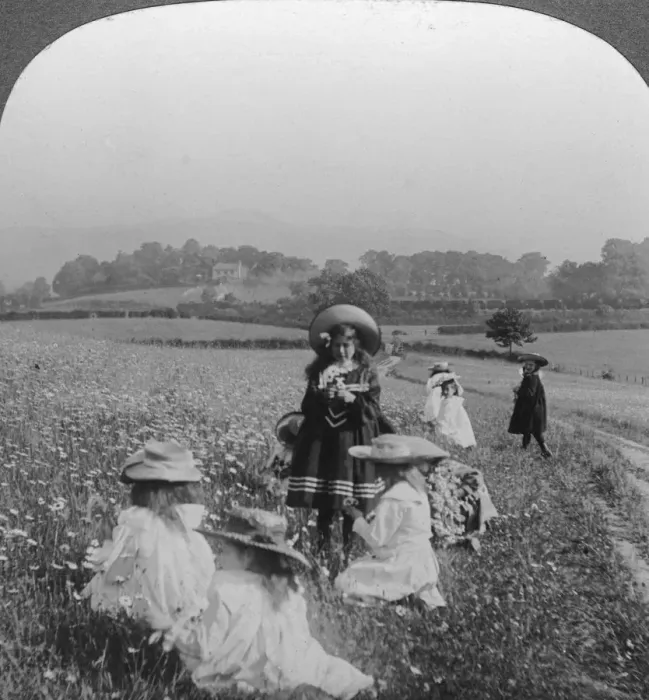 Framed Print : Children in a meadow, Keswick, Cumbria. Artist: Excelsior Stereoscopic Tours Framed Print : Children in a meadow, Keswick, Cumbria. Artist: Excelsior Stereoscopic Tours