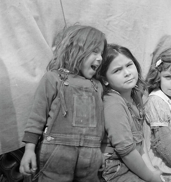 Children of migratory carrot pullers, Mexicans, Imperial Valley, California, 1937. Creator: Dorothea Lange