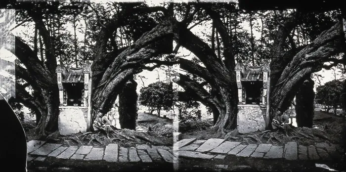 Framed Print : China, 1869, (1981). Creator: Unknown Framed Print : China, 1869, (1981). Creator: Unknown