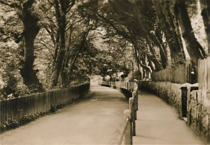 Framed Print : Chine Avenue, Shanklin, I. W. c1920. Creator: Unknown Framed Print : Chine Avenue, Shanklin, I. W. c1920. Creator: Unknown