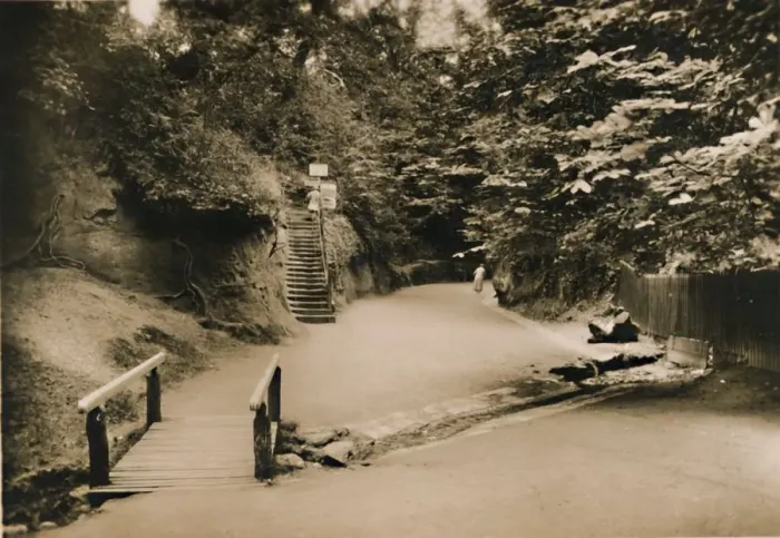 Framed Print : Chine Hollow, Shanklin, I. W. c1920. Creator: Unknown Framed Print : Chine Hollow, Shanklin, I. W. c1920. Creator: Unknown