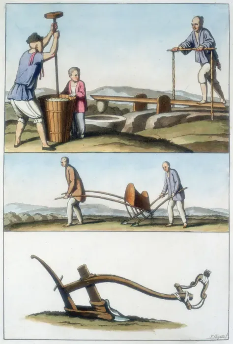 Framed Print : Chinese agriculture, 1825-1835 Framed Print : Chinese agriculture, 1825-1835