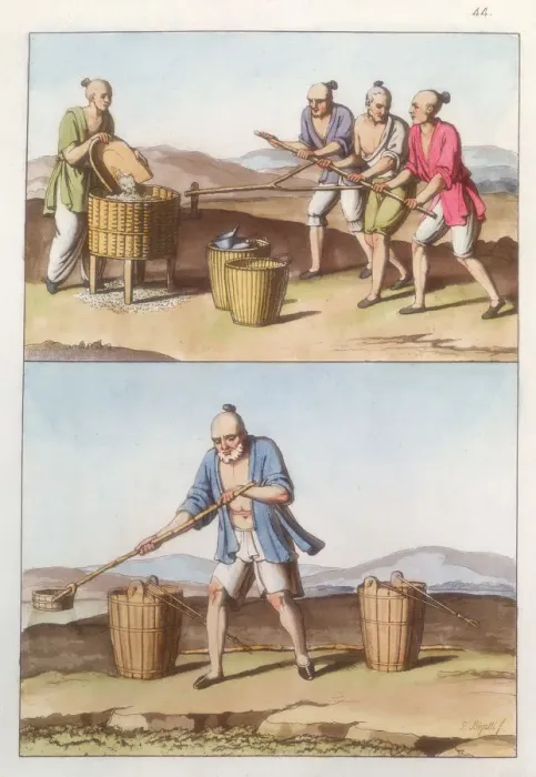 Framed Print : Chinese agriculture, 1825-1835 Framed Print : Chinese agriculture, 1825-1835