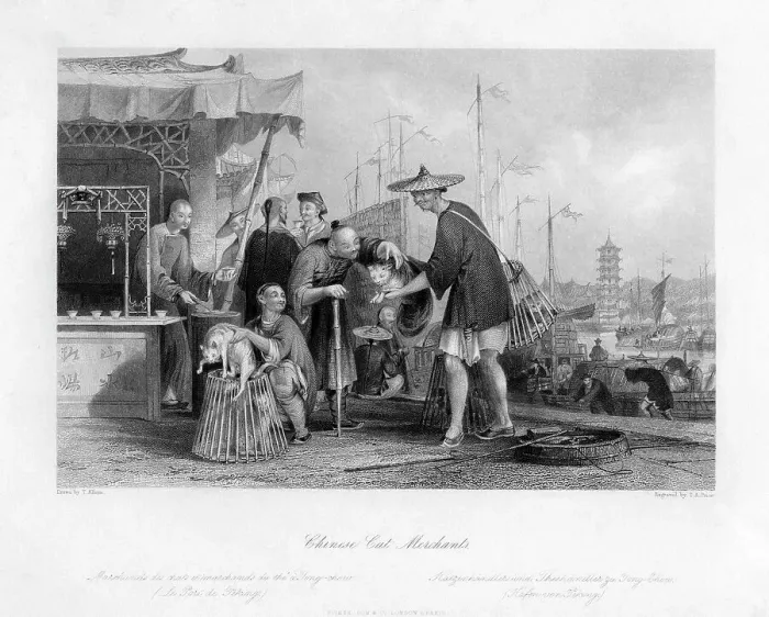 Framed Print : Chinese Cat Merchants, 19th century. Artist: TA Prior Framed Print : Chinese Cat Merchants, 19th century. Artist: TA Prior