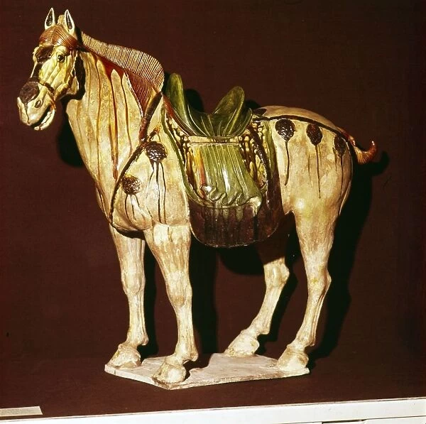 Chinese Horse from a Tomb, T Ang Dynasty, 7th-10th century