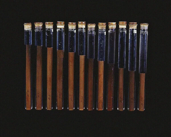 Chinese twelve-tone pitch pipes (from the tomb of Xin Zhui in Mawangdui), ca 160 BC