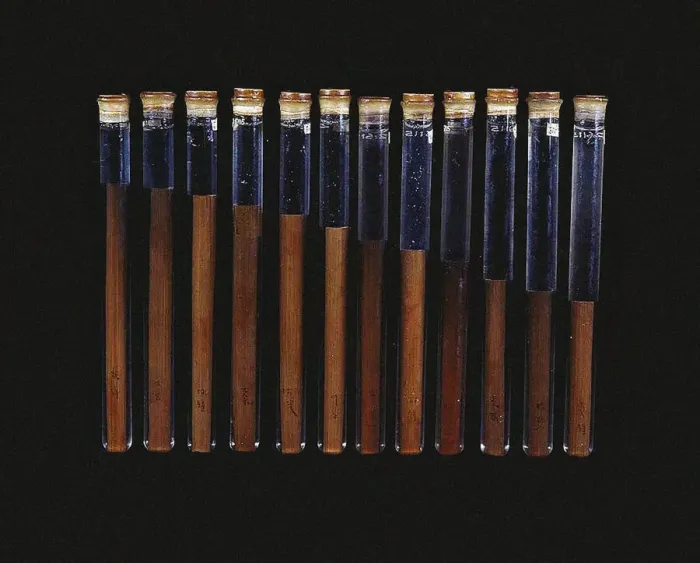 Framed Print : Chinese twelve-tone pitch pipes (from the tomb of Xin Zhui in Mawangdui), ca 160 BC Framed Print : Chinese twelve-tone pitch pipes (from the tomb of Xin Zhui in Mawangdui), ca 160 BC