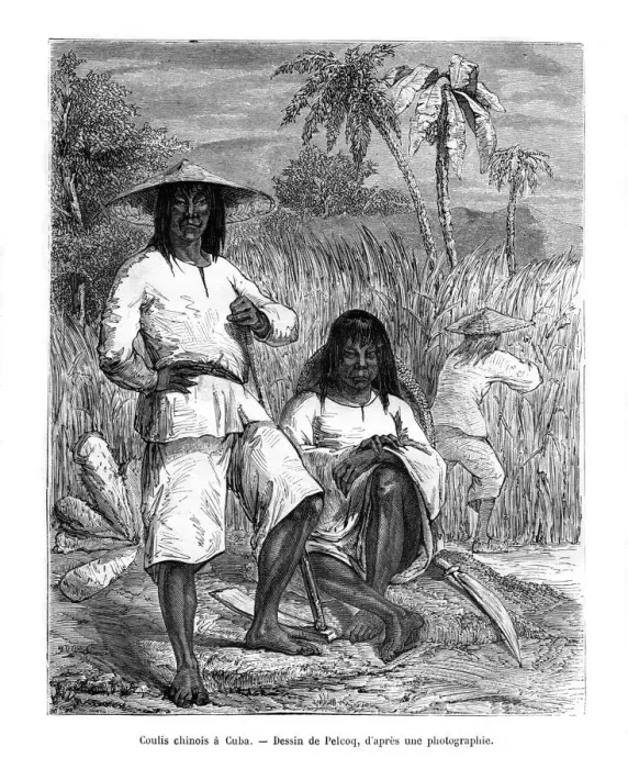 Framed Print : Chinese workers, Cuba, 19th century. Artist: Pelcoq Framed Print : Chinese workers, Cuba, 19th century. Artist: Pelcoq