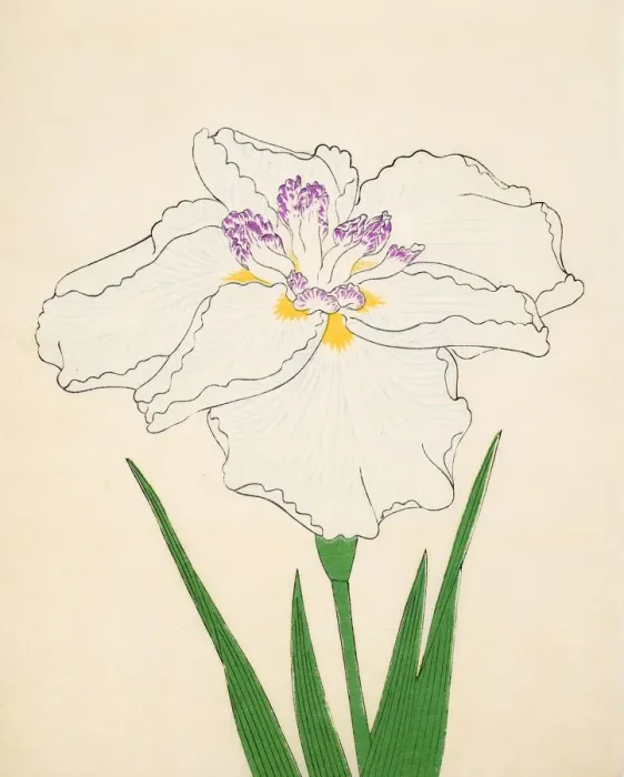 Framed Print : Cho-Hiyen, No. 91, 1890, (colour woodblock print) Framed Print : Cho-Hiyen, No. 91, 1890, (colour woodblock print)