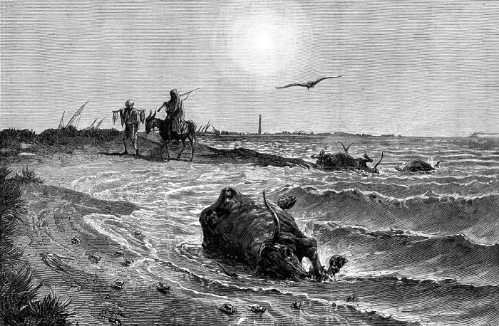 Framed Print : The Cholera in Egypt: its source and cause - scene on the shore at Damietta... 1883. Creator: Unknown Framed Print : The Cholera in Egypt: its source and cause - scene on the shore at Damietta... 1883. Creator: Unknown