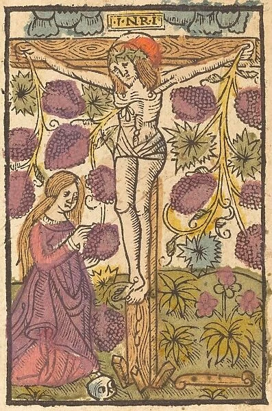 Christ on the Cross with a Grape Vine, c. 1490  /  1500. Creator: Unknown