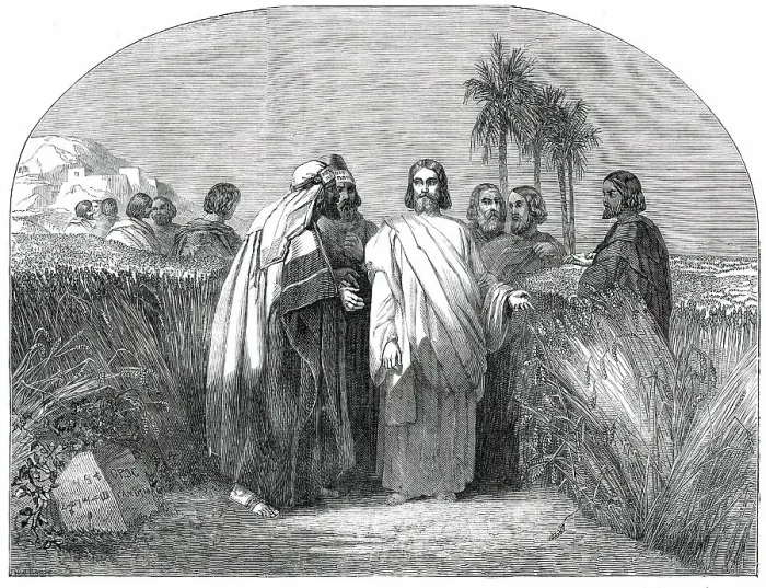 Framed Print : Christ with the Disciples in the Corn-Field... 1850. Creator: Unknown Framed Print : Christ with the Disciples in the Corn-Field... 1850. Creator: Unknown