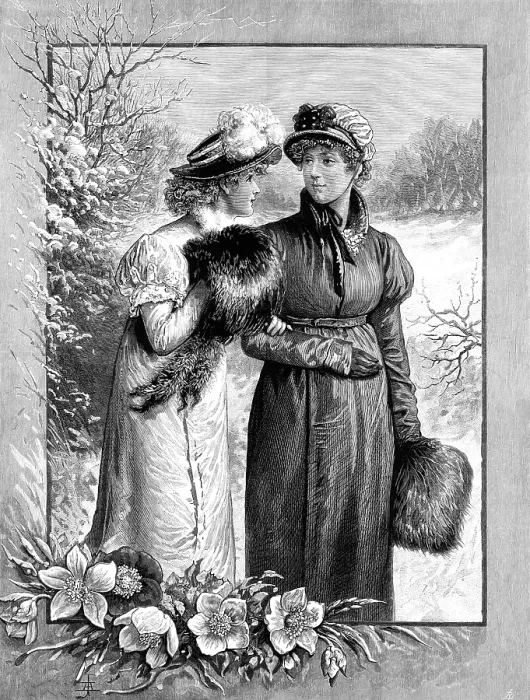 Framed Print : Christmas Roses, drawn by A. Johnson, 1883. Creator: Unknown Framed Print : Christmas Roses, drawn by A. Johnson, 1883. Creator: Unknown