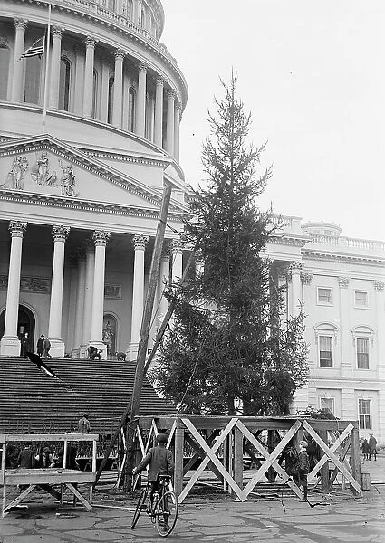 Christmas Trees - Christmas Tree At Capitol, 1913. Creator: Harris & Ewing. Christmas Trees - Christmas Tree At Capitol, 1913. Creator: Harris & Ewing
