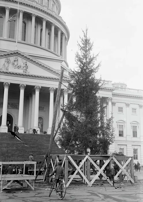 Framed Print : Christmas Trees - Christmas Tree At Capitol, 1913. Creator: Harris & Ewing. Christmas Trees - Christmas Tree At Capitol, 1913. Creator: Harris & Ewing Framed Print : Christmas Trees - Christmas Tree At Capitol, 1913. Creator: Harris & Ewing. Christmas Trees - Christmas Tree At Capitol, 1913. Creator: Harris & Ewing