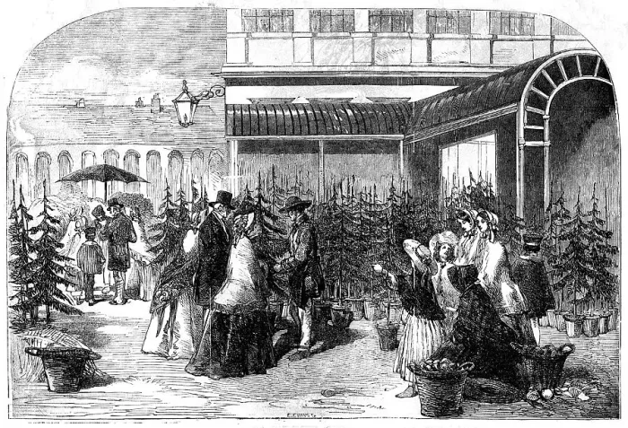 Framed Print : Christmas Trees in Covent Garden Market, 1854. Creator: Edmund Evans Framed Print : Christmas Trees in Covent Garden Market, 1854. Creator: Edmund Evans
