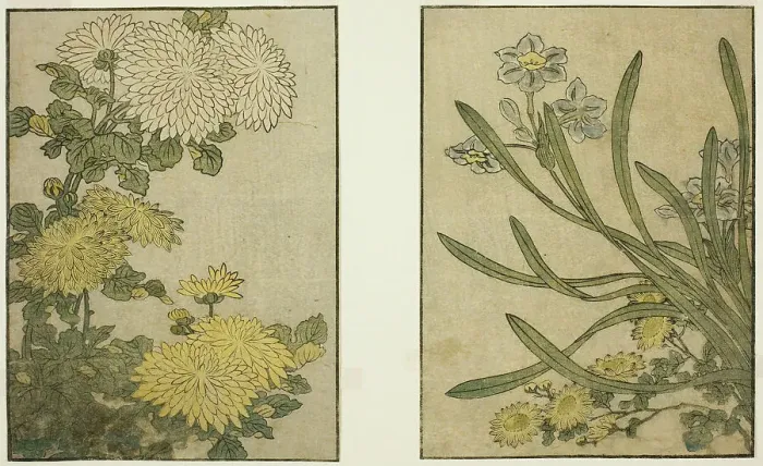 Framed Print : Chrysanthemum and Narcissus, from the illustrated book Picture Book: Flowers of the... 1801. Creator: Kitagawa Utamaro. Chrysanthemum and Narcissus, from the illustrated book Picture Book: Flowers of the... 1801. Creator: Kitagawa Utamaro Framed Print : Chrysanthemum and Narcissus, from the illustrated book Picture Book: Flowers of the... 1801. Creator: Kitagawa Utamaro. Chrysanthemum and Narcissus, from the illustrated book Picture Book: Flowers of the... 1801. Creator: Kitagawa Utamaro