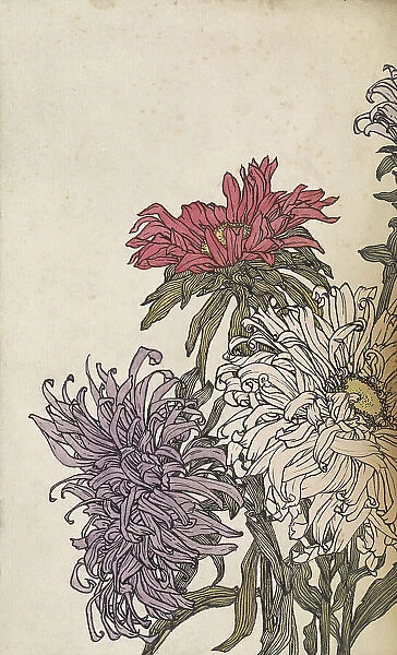 Chrysanthemums, 1887-1924. Creator: Julie de Graag
