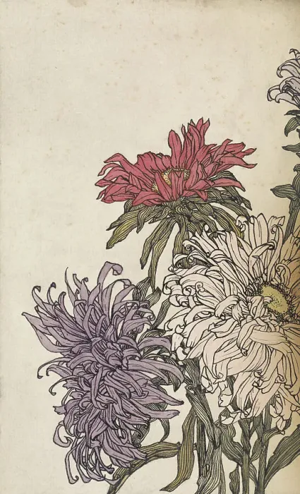 Framed Print : Chrysanthemums, 1887-1924. Creator: Julie de Graag Framed Print : Chrysanthemums, 1887-1924. Creator: Julie de Graag